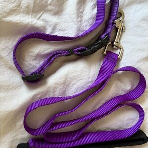 Purple Dog Leash with Silver Clip